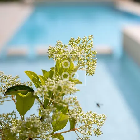 Design Flamenco Garden At La Golf - By Oyoostays * Algorfa
